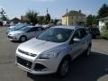 2014 Ingot Silver Ford Escape Titanium 2.0L EcoBoost 4WD  photo #1