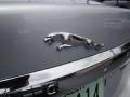 Liquid Silver Metallic - XF Supercharged Photo No. 30