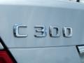 2009 Iridium Silver Metallic Mercedes-Benz C 300 4Matic  photo #9