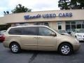 Cashmere 2009 Kia Sedona LX