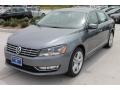 Platinum Gray Metallic - Passat TDI SEL Photo No. 3