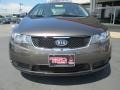 2010 Bronze Kia Forte EX  photo #2