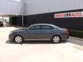 Magnetic Gray Metallic - Avalon  Photo No. 6