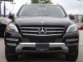 Black - ML 350 4Matic Photo No. 2