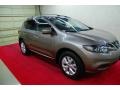 Tinted Bronze 2012 Nissan Murano SV