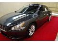 Metallic Slate - Maxima 3.5 SV Photo No. 3