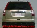 Borrego Beige Metallic - CR-V EX-L Photo No. 6