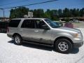2003 Silver Birch Metallic Ford Expedition XLT 4x4  photo #2