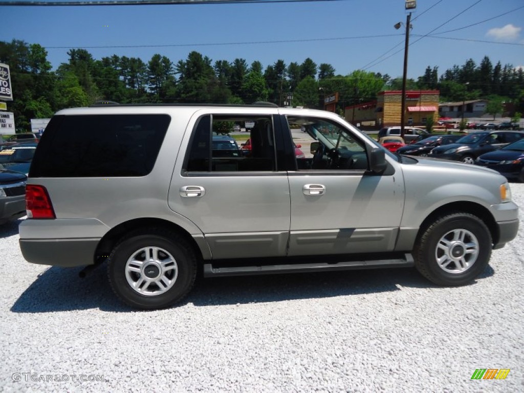 2003 Expedition XLT 4x4 - Silver Birch Metallic / Flint Grey photo #3