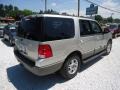 2003 Silver Birch Metallic Ford Expedition XLT 4x4  photo #4