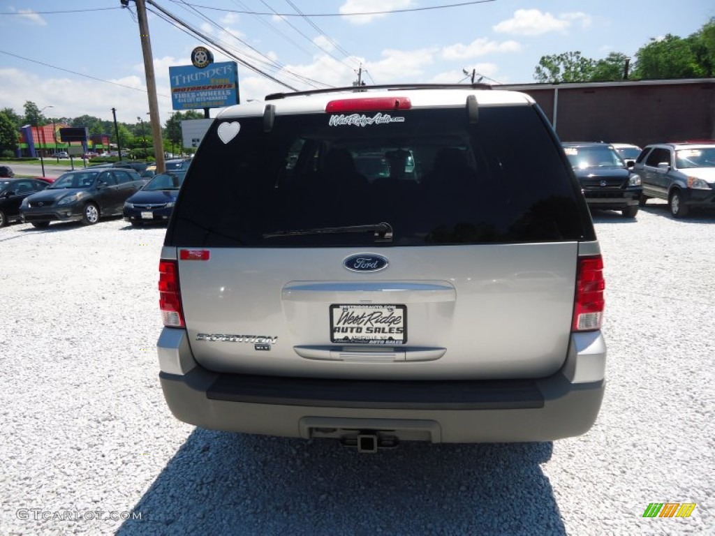 2003 Expedition XLT 4x4 - Silver Birch Metallic / Flint Grey photo #5