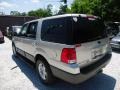 2003 Silver Birch Metallic Ford Expedition XLT 4x4  photo #6