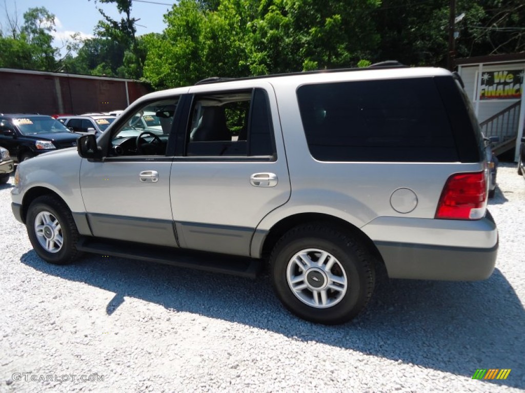 2003 Expedition XLT 4x4 - Silver Birch Metallic / Flint Grey photo #7