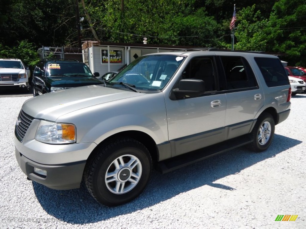 2003 Expedition XLT 4x4 - Silver Birch Metallic / Flint Grey photo #9