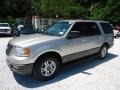 2003 Silver Birch Metallic Ford Expedition XLT 4x4  photo #9