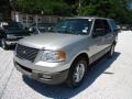 2003 Silver Birch Metallic Ford Expedition XLT 4x4  photo #10
