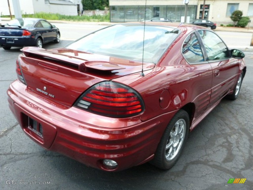 2002 Grand Am SE Coupe - Redfire Metallic / Dark Pewter photo #12