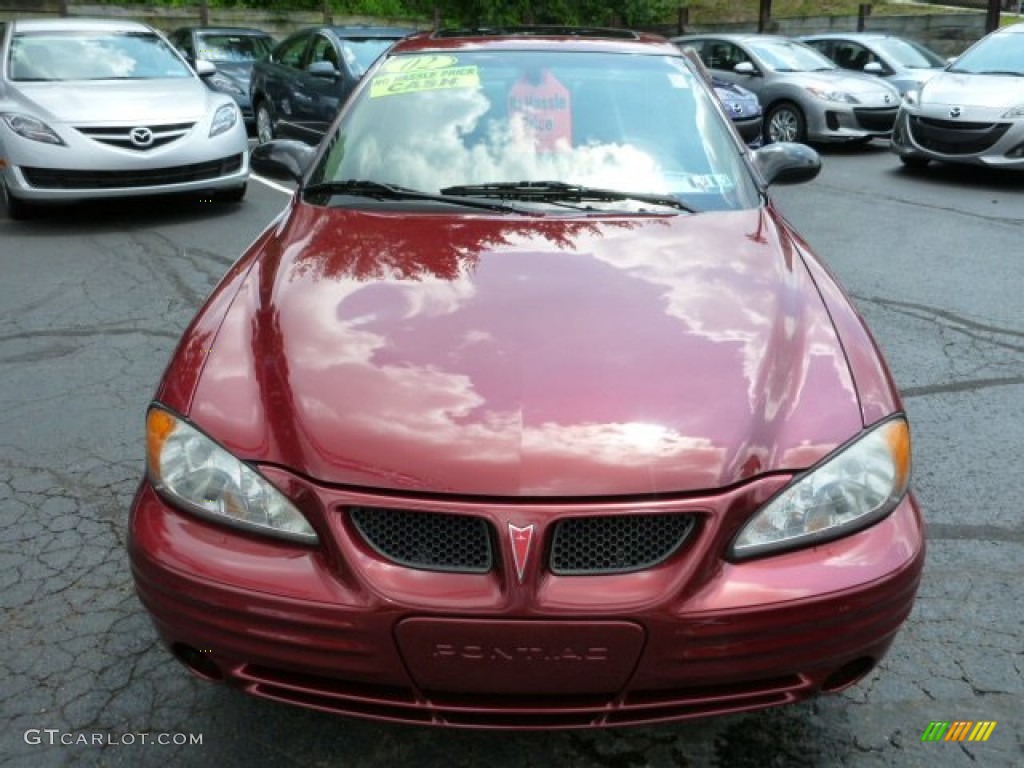 2002 Grand Am SE Coupe - Redfire Metallic / Dark Pewter photo #14