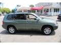 Oasis Green Pearl - Highlander Hybrid 4WD Photo No. 5