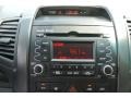 Titanium Silver - Sorento LX Photo No. 16