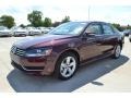 Opera Red Metallic - Passat 2.5L SE Photo No. 1