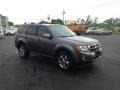 2011 Sterling Grey Metallic Ford Escape Limited V6 4WD  photo #7