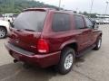 2001 Dark Garnet Red Pearl Dodge Durango SLT 4x4  photo #6