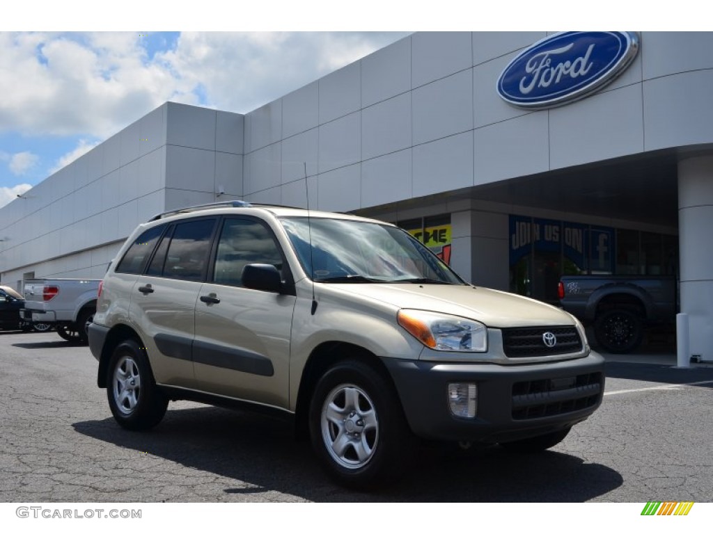 2001 RAV4  - Vintage Gold / Oak photo #1