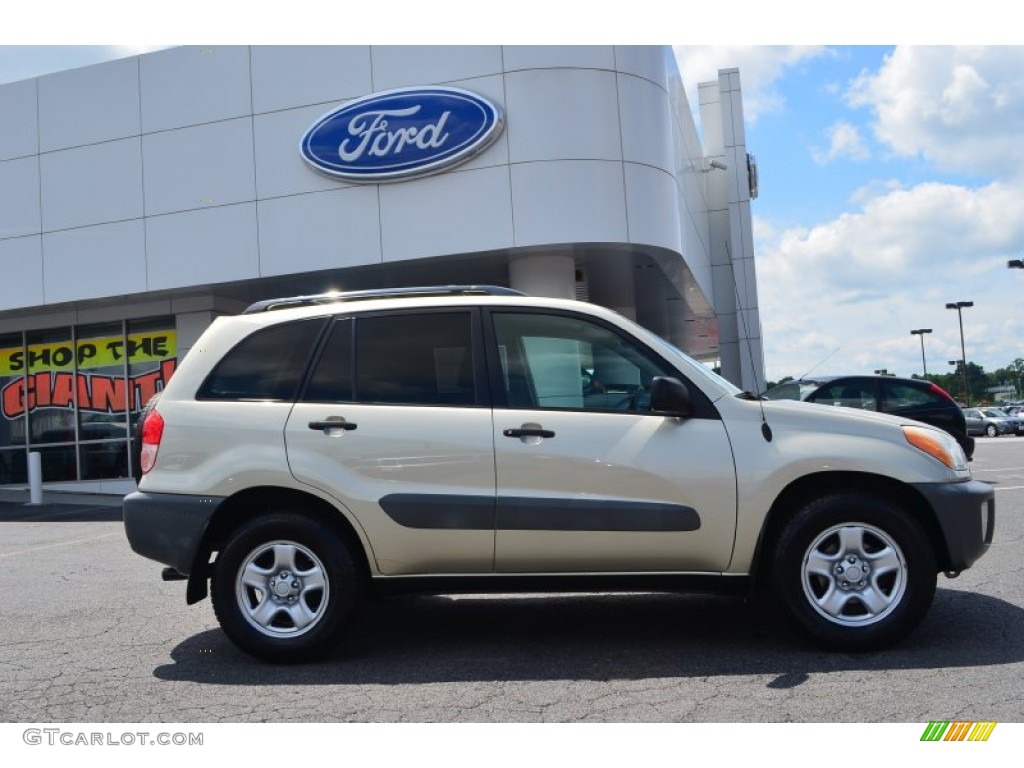 2001 RAV4  - Vintage Gold / Oak photo #2