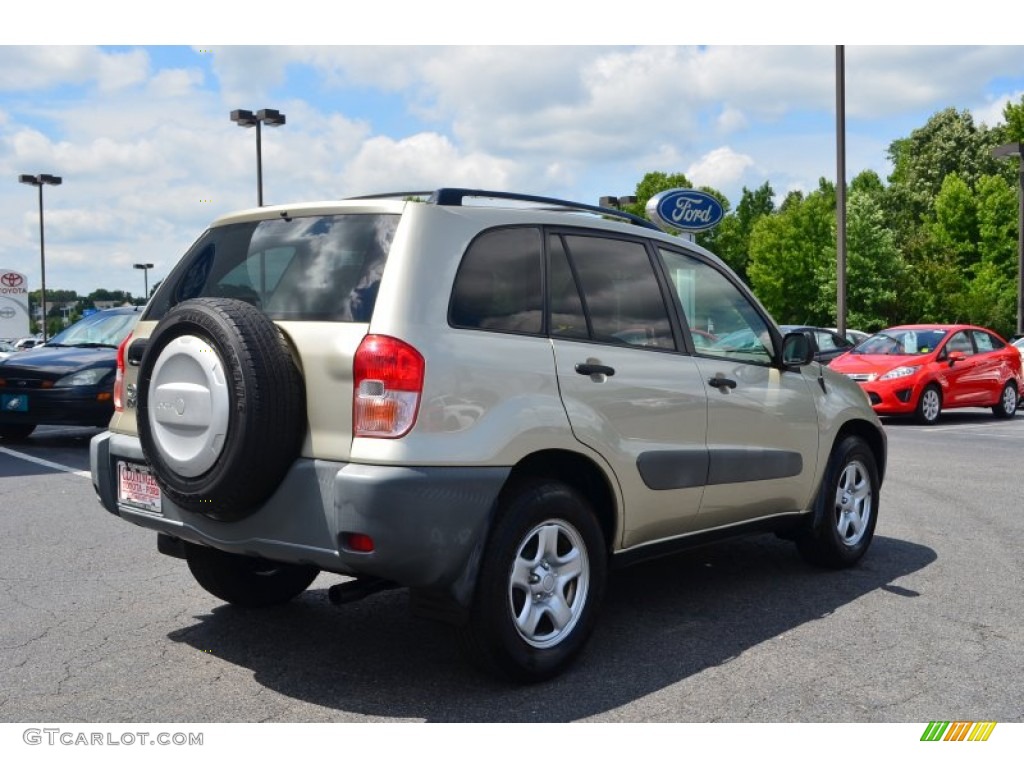 2001 RAV4  - Vintage Gold / Oak photo #3