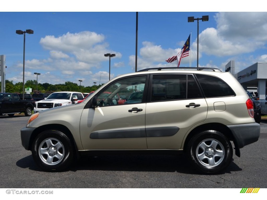 2001 RAV4  - Vintage Gold / Oak photo #5