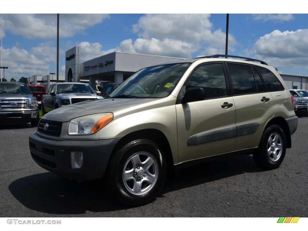 2001 RAV4  - Vintage Gold / Oak photo #6