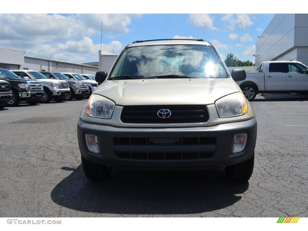 2001 RAV4  - Vintage Gold / Oak photo #7