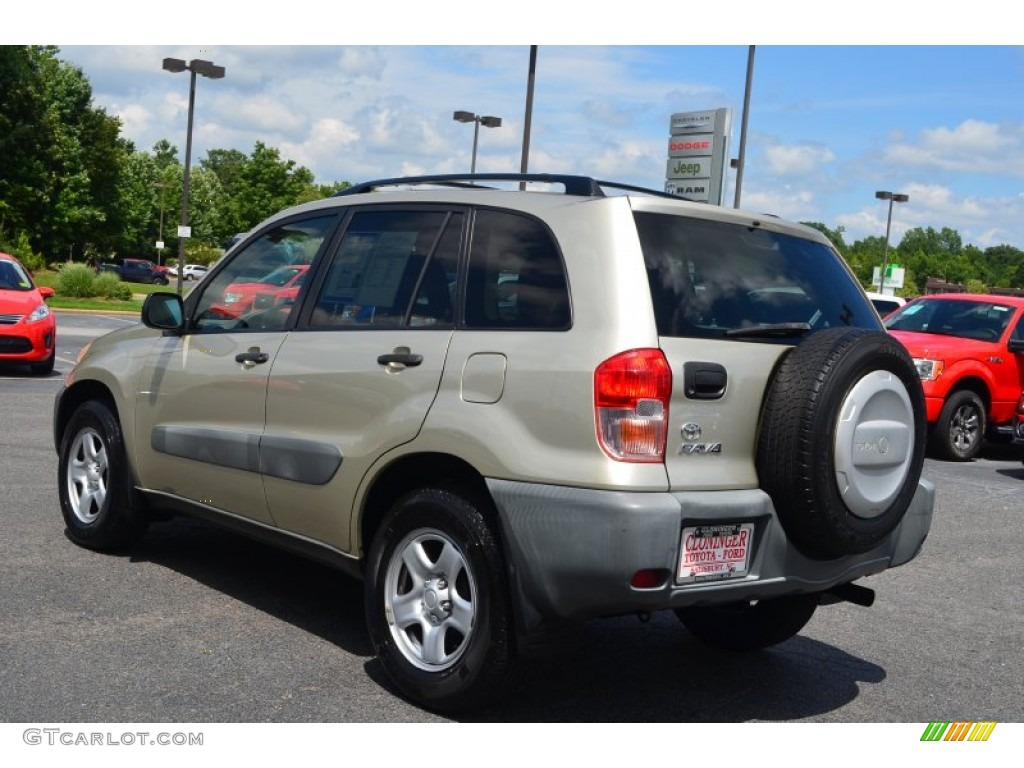 2001 RAV4  - Vintage Gold / Oak photo #22