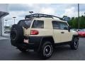 2010 Sandstorm Toyota FJ Cruiser Trail Teams Special Edition 4WD  photo #3