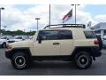 2010 Sandstorm Toyota FJ Cruiser Trail Teams Special Edition 4WD  photo #5