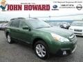 2014 Cypress Green Pearl Subaru Outback 3.6R Limited  photo #1