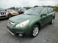 2014 Cypress Green Pearl Subaru Outback 3.6R Limited  photo #3