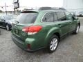 2014 Cypress Green Pearl Subaru Outback 3.6R Limited  photo #6