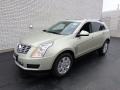 2013 Silver Coast Metallic Cadillac SRX Luxury FWD  photo #1