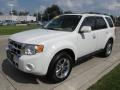 2011 White Suede Ford Escape Limited V6  photo #7