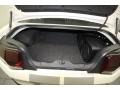 Charcoal Black/White Trunk Photo for 2010 Ford Mustang #83290270