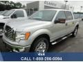2010 Ingot Silver Metallic Ford F150 XLT SuperCrew 4x4  photo #1
