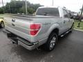 2010 Ingot Silver Metallic Ford F150 XLT SuperCrew 4x4  photo #2