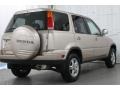 2001 Naples Gold Metallic Honda CR-V Special Edition 4WD  photo #6