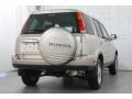 2001 Naples Gold Metallic Honda CR-V Special Edition 4WD  photo #7