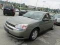 2005 Silver Green Metallic Chevrolet Malibu LS V6 Sedan  photo #4