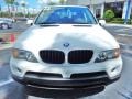 Alpine White - X5 3.0i Photo No. 2