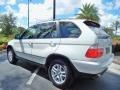 Alpine White - X5 3.0i Photo No. 5