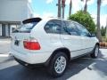 Alpine White - X5 3.0i Photo No. 7